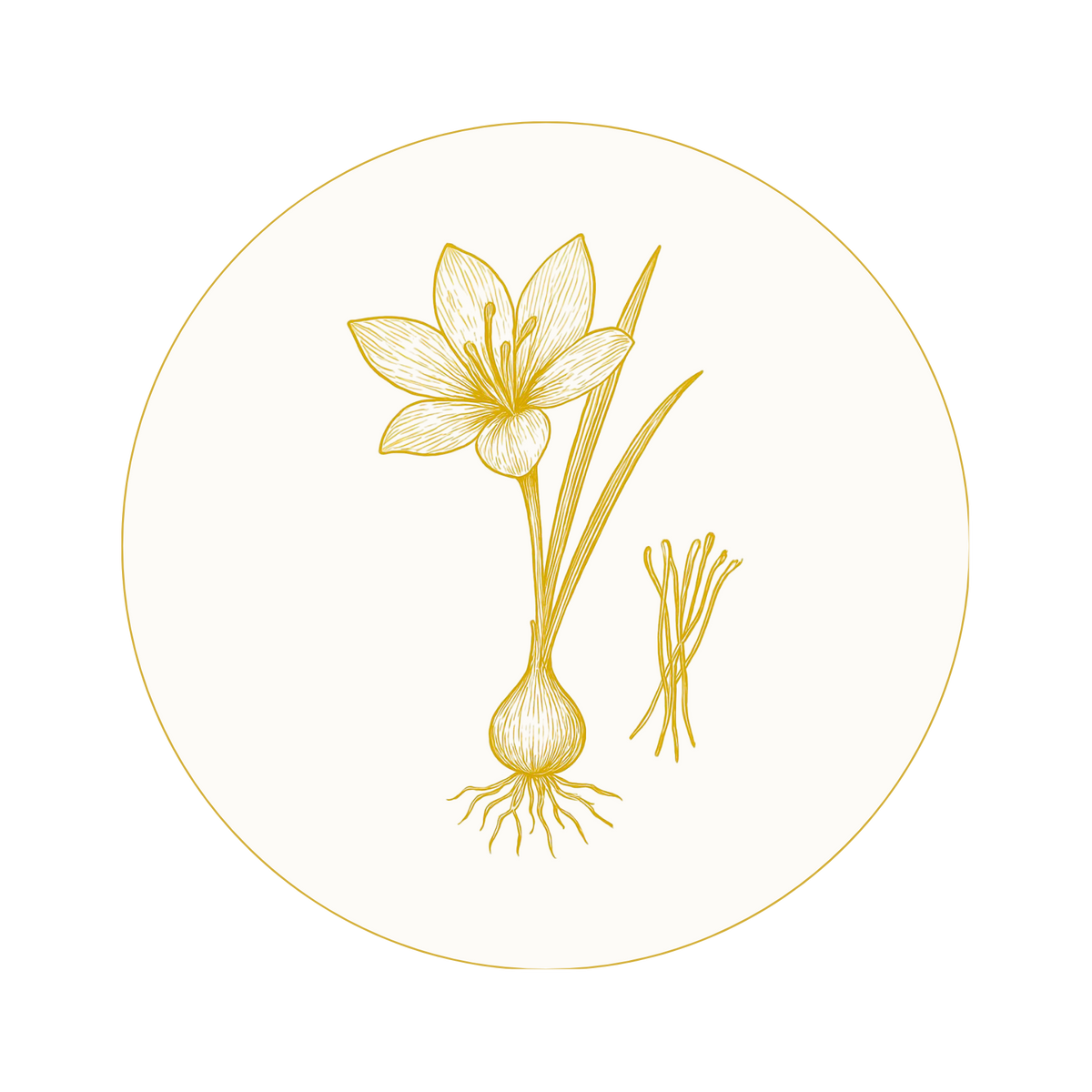 Skin Ritual - Golden Kumkumadi Radiance