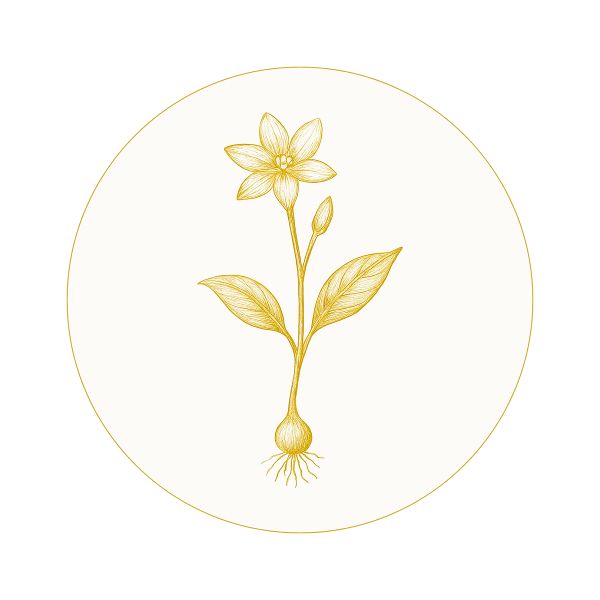 Pleťový rituál - Jasmine Renewal Therapy